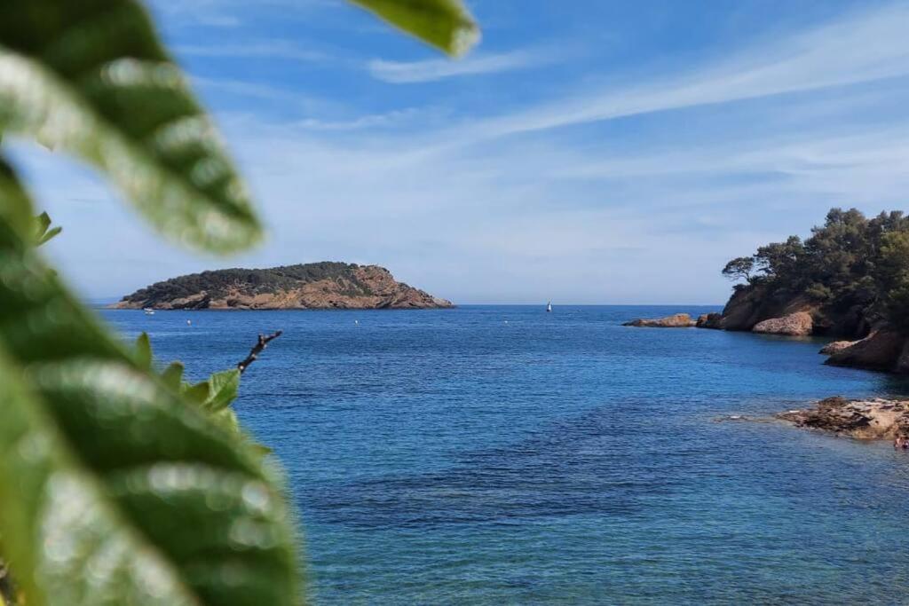 Sea View Climatise Terrasse Vue Mer Parking By Laconciergerie13 ลาซิโอตาต์ ภายนอก รูปภาพ